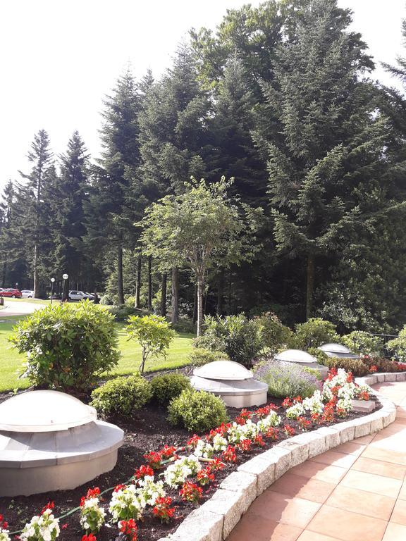 Apartment Near Villa Turgenev Apartment